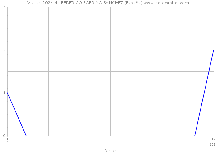 Visitas 2024 de FEDERICO SOBRINO SANCHEZ (España) 