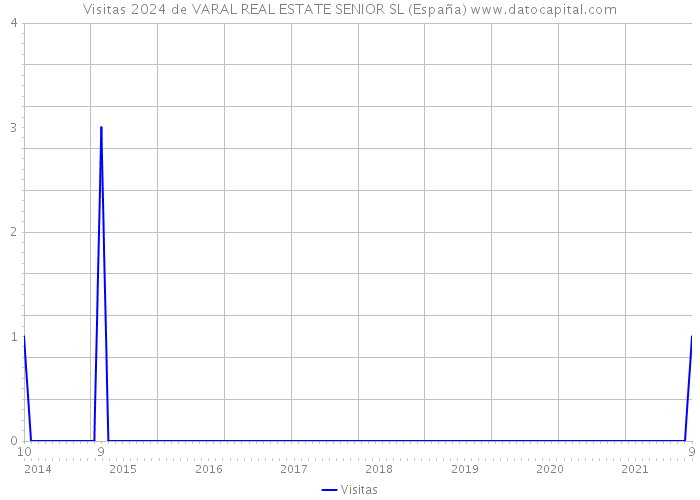 Visitas 2024 de VARAL REAL ESTATE SENIOR SL (España) 