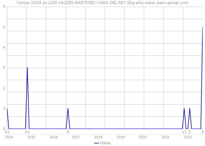 Visitas 2024 de LUIS VALDES MARTINEZ-VARA DEL REY (España) 
