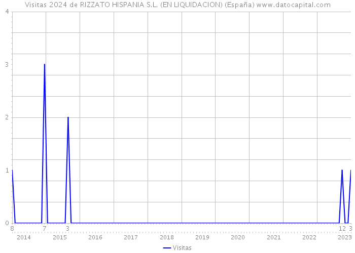 Visitas 2024 de RIZZATO HISPANIA S.L. (EN LIQUIDACION) (España) 