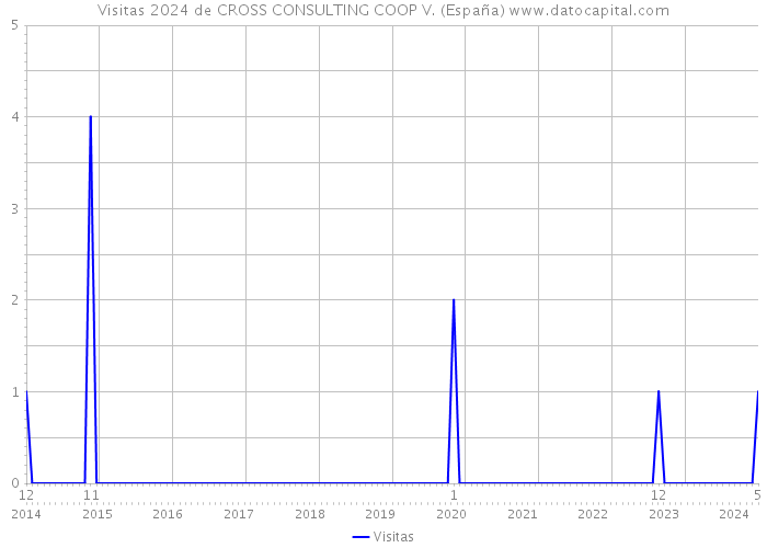 Visitas 2024 de CROSS CONSULTING COOP V. (España) 
