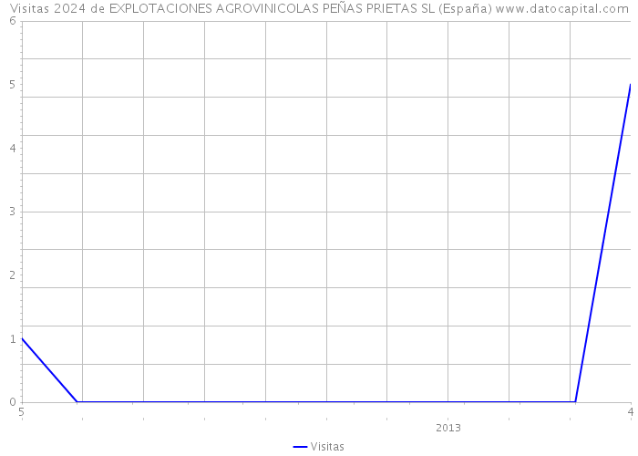 Visitas 2024 de EXPLOTACIONES AGROVINICOLAS PEÑAS PRIETAS SL (España) 