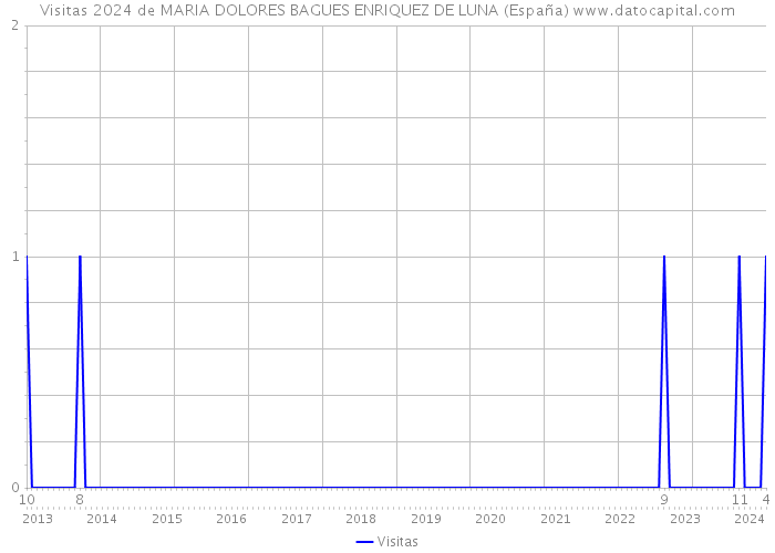 Visitas 2024 de MARIA DOLORES BAGUES ENRIQUEZ DE LUNA (España) 
