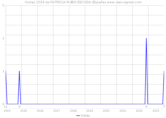 Visitas 2024 de PATRICIA RUBIO ESCODA (España) 