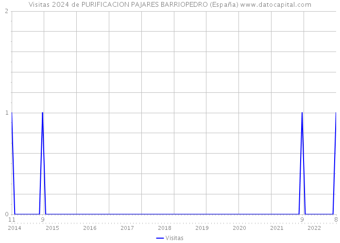 Visitas 2024 de PURIFICACION PAJARES BARRIOPEDRO (España) 