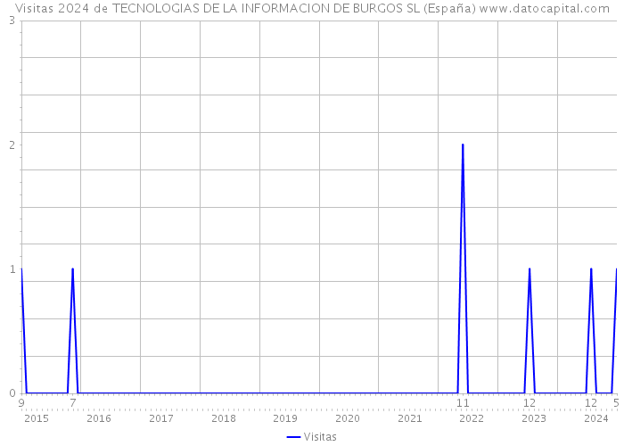 Visitas 2024 de TECNOLOGIAS DE LA INFORMACION DE BURGOS SL (España) 