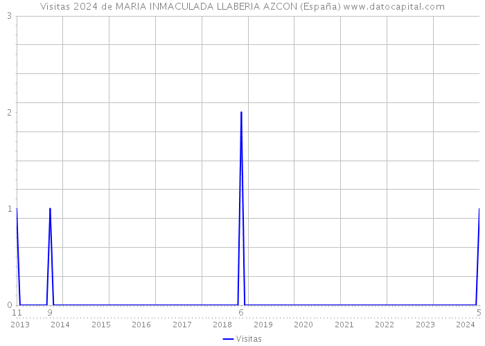 Visitas 2024 de MARIA INMACULADA LLABERIA AZCON (España) 