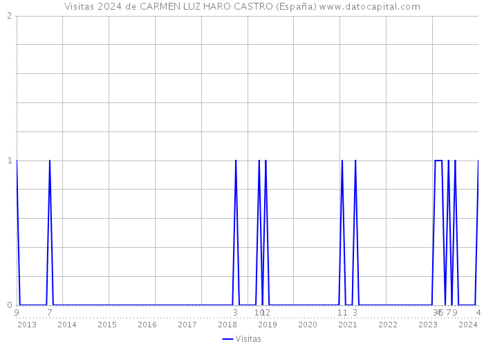 Visitas 2024 de CARMEN LUZ HARO CASTRO (España) 