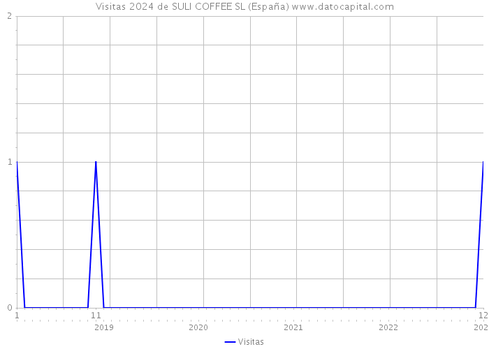 Visitas 2024 de SULI COFFEE SL (España) 