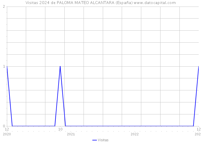 Visitas 2024 de PALOMA MATEO ALCANTARA (España) 