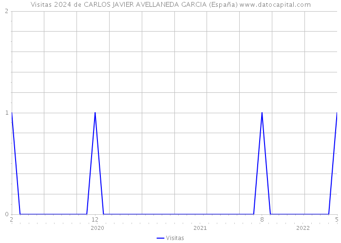 Visitas 2024 de CARLOS JAVIER AVELLANEDA GARCIA (España) 