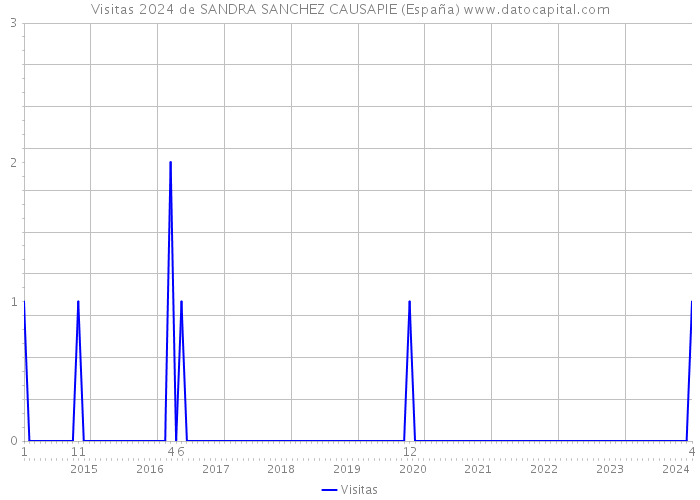 Visitas 2024 de SANDRA SANCHEZ CAUSAPIE (España) 