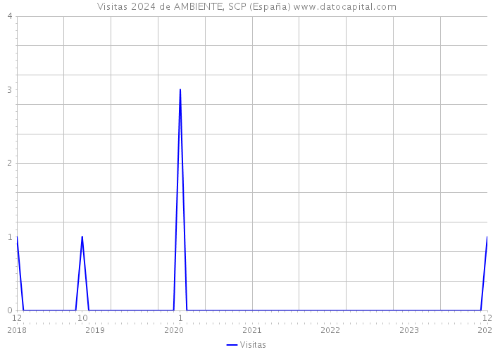 Visitas 2024 de AMBIENTE, SCP (España) 