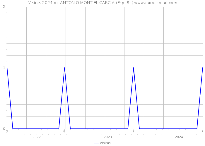 Visitas 2024 de ANTONIO MONTIEL GARCIA (España) 