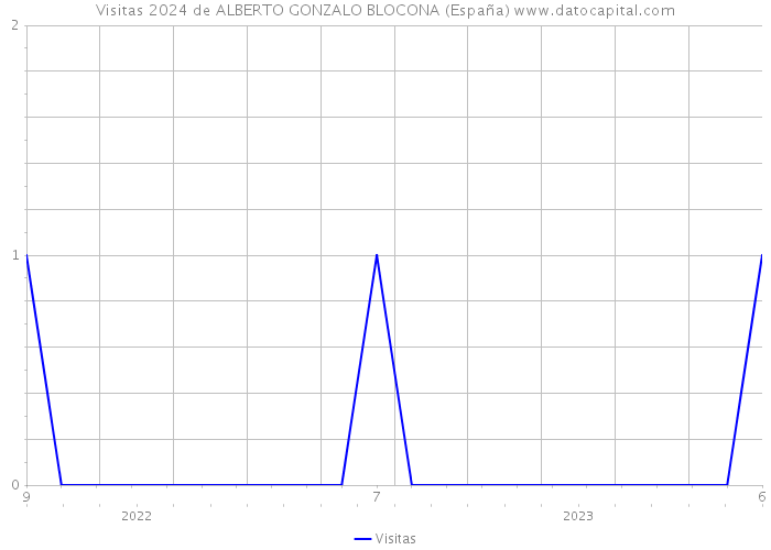 Visitas 2024 de ALBERTO GONZALO BLOCONA (España) 