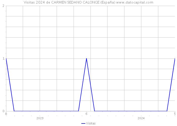 Visitas 2024 de CARMEN SEDANO CALONGE (España) 