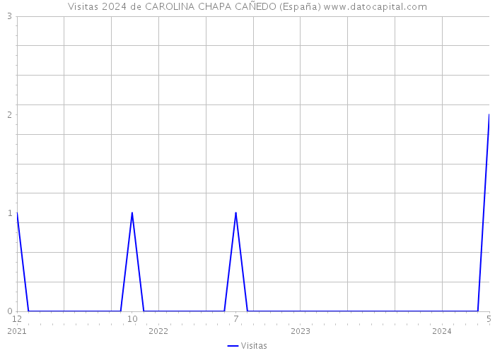 Visitas 2024 de CAROLINA CHAPA CAÑEDO (España) 