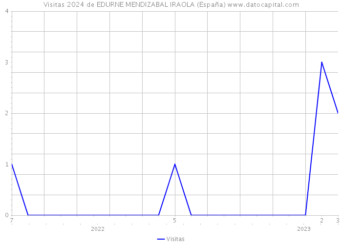 Visitas 2024 de EDURNE MENDIZABAL IRAOLA (España) 