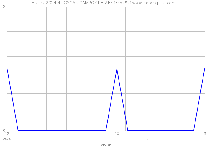 Visitas 2024 de OSCAR CAMPOY PELAEZ (España) 
