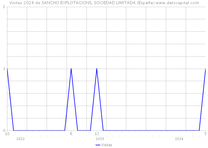 Visitas 2024 de SANCHO EXPLOTACIONS, SOCIEDAD LIMITADA (España) 