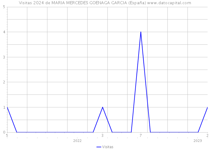 Visitas 2024 de MARIA MERCEDES GOENAGA GARCIA (España) 
