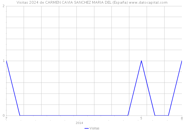 Visitas 2024 de CARMEN CAVIA SANCHEZ MARIA DEL (España) 