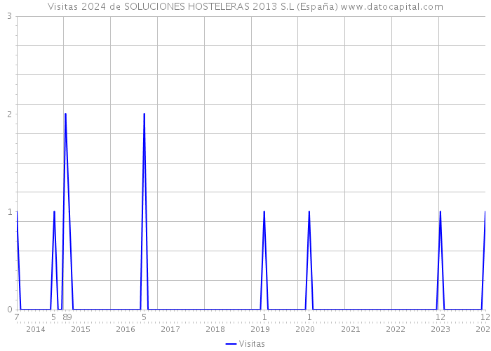 Visitas 2024 de SOLUCIONES HOSTELERAS 2013 S.L (España) 