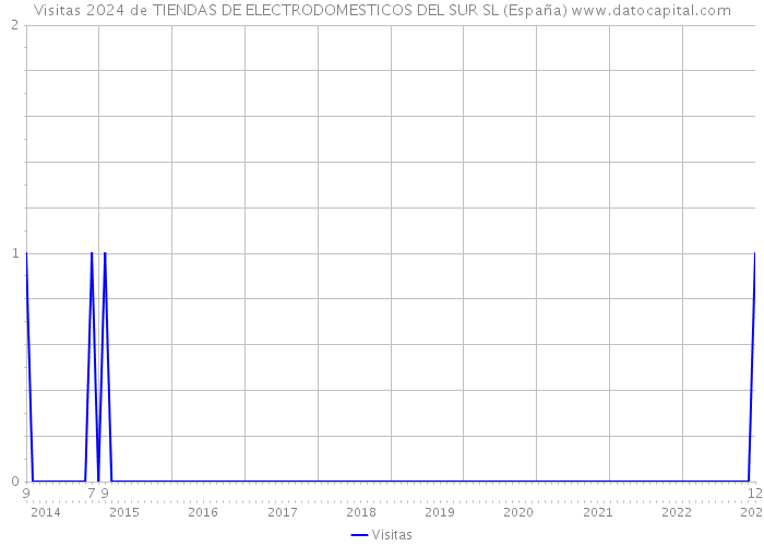 Visitas 2024 de TIENDAS DE ELECTRODOMESTICOS DEL SUR SL (España) 