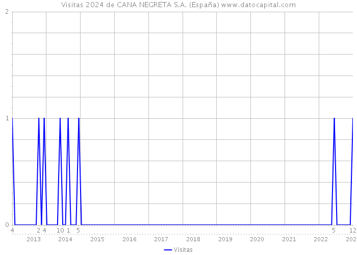 Visitas 2024 de CANA NEGRETA S.A. (España) 