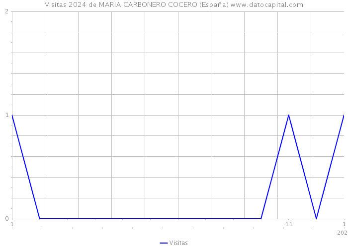 Visitas 2024 de MARIA CARBONERO COCERO (España) 