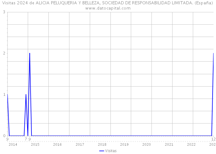 Visitas 2024 de ALICIA PELUQUERIA Y BELLEZA, SOCIEDAD DE RESPONSABILIDAD LIMITADA. (España) 