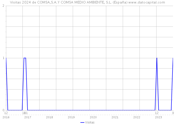 Visitas 2024 de COMSA,S.A.Y COMSA MEDIO AMBIENTE, S.L. (España) 