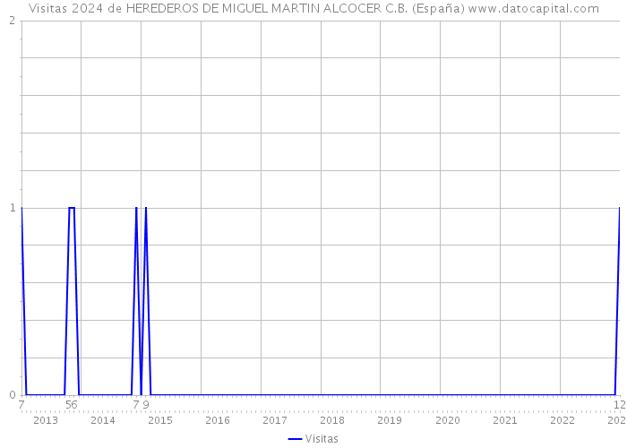 Visitas 2024 de HEREDEROS DE MIGUEL MARTIN ALCOCER C.B. (España) 