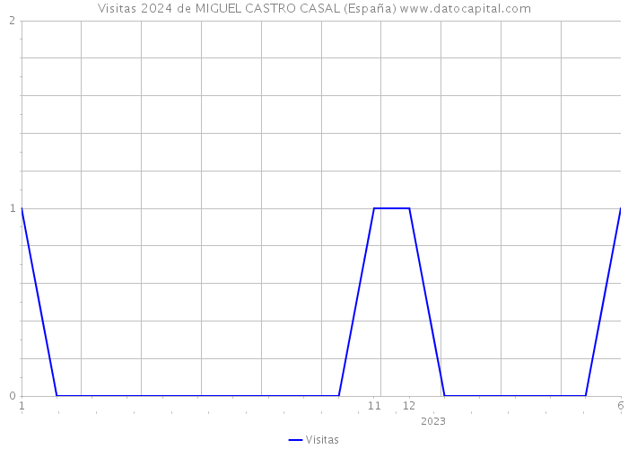 Visitas 2024 de MIGUEL CASTRO CASAL (España) 