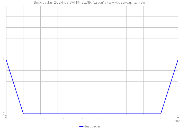 Búsquedas 2024 de SAHIN BEDIR (España) 