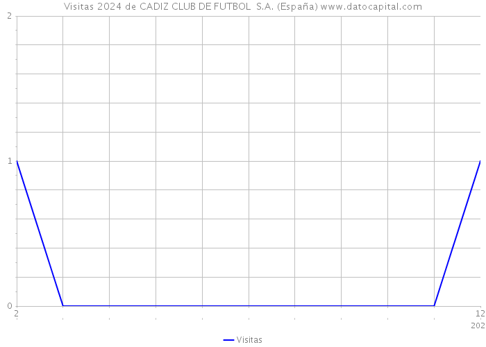 Visitas 2024 de CADIZ CLUB DE FUTBOL S.A. (España) 