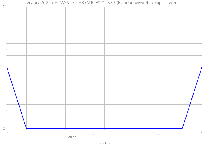 Visitas 2024 de CASANELLAS CARLES OLIVER (España) 