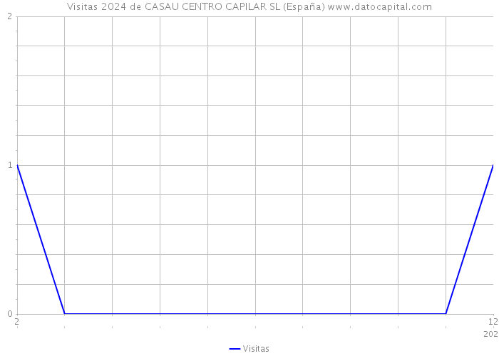 Visitas 2024 de CASAU CENTRO CAPILAR SL (España) 