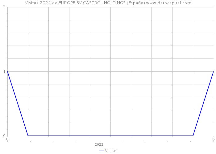 Visitas 2024 de EUROPE BV CASTROL HOLDINGS (España) 