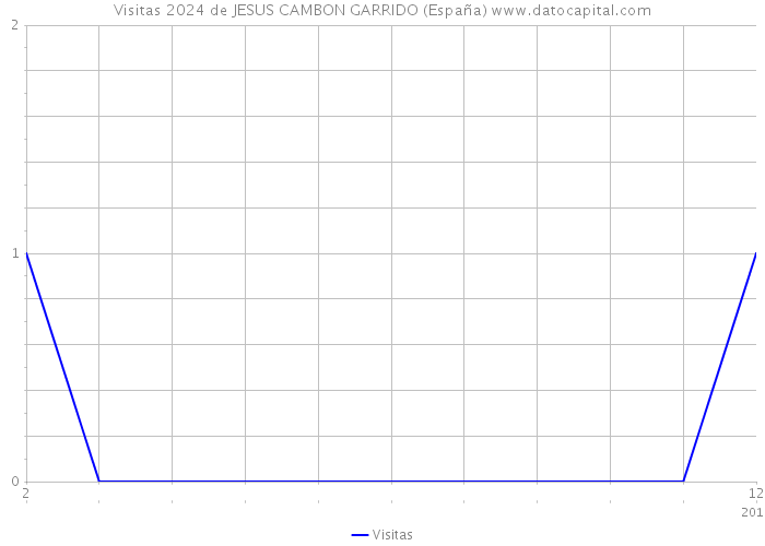 Visitas 2024 de JESUS CAMBON GARRIDO (España) 