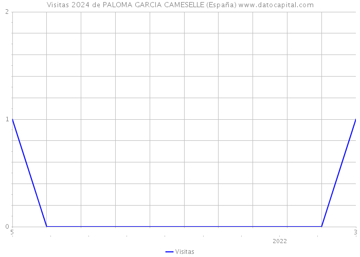 Visitas 2024 de PALOMA GARCIA CAMESELLE (España) 