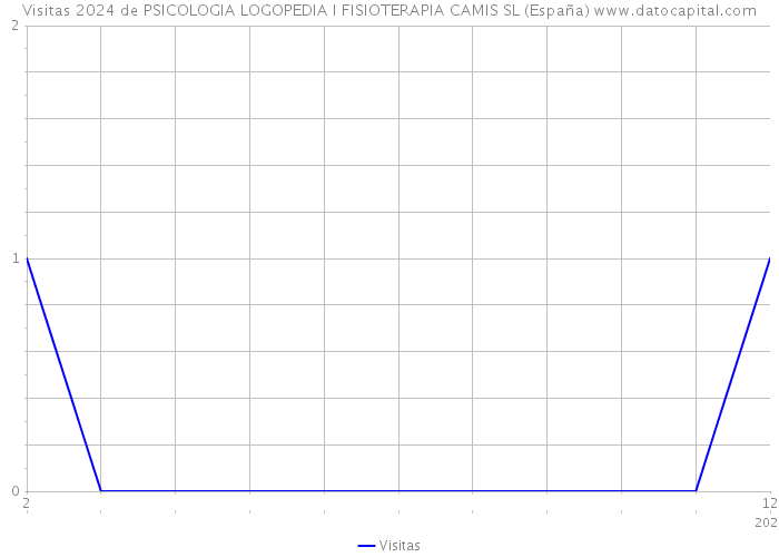 Visitas 2024 de PSICOLOGIA LOGOPEDIA I FISIOTERAPIA CAMIS SL (España) 