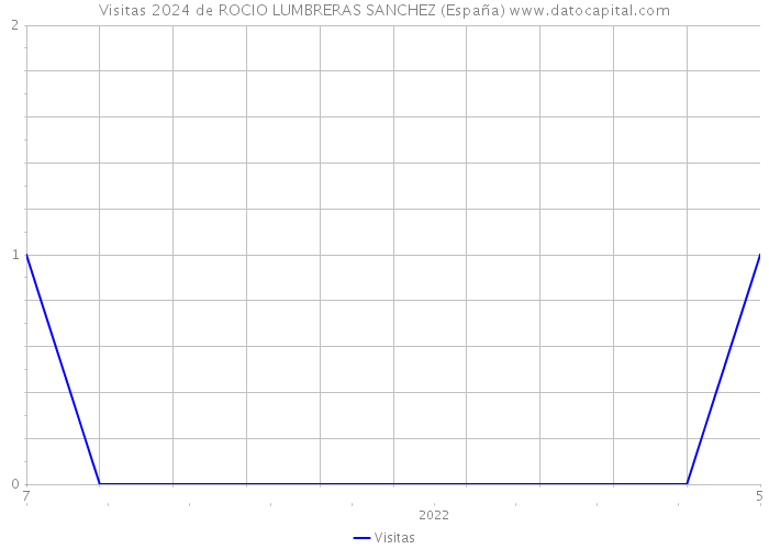 Visitas 2024 de ROCIO LUMBRERAS SANCHEZ (España) 