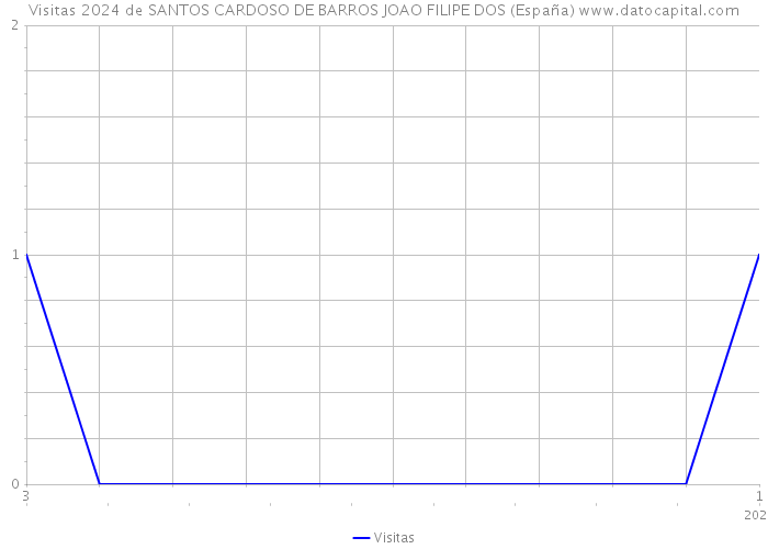 Visitas 2024 de SANTOS CARDOSO DE BARROS JOAO FILIPE DOS (España) 
