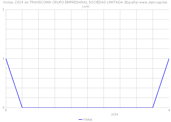 Visitas 2024 de TRANSCOMA GRUPO EMPRESARIAL SOCIEDAD LIMITADA (España) 