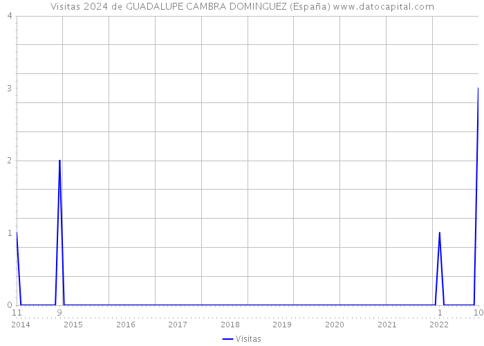 Visitas 2024 de GUADALUPE CAMBRA DOMINGUEZ (España) 
