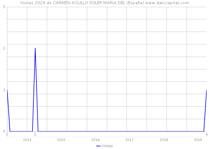 Visitas 2024 de CARMEN AGULLO SOLER MARIA DEL (España) 