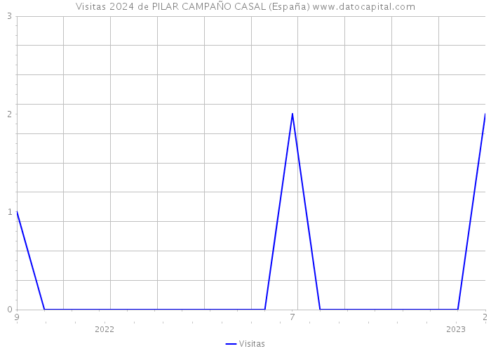 Visitas 2024 de PILAR CAMPAÑO CASAL (España) 