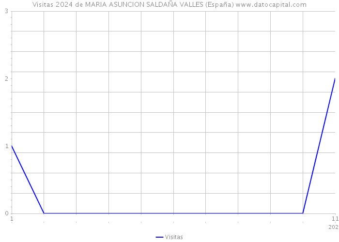 Visitas 2024 de MARIA ASUNCION SALDAÑA VALLES (España) 