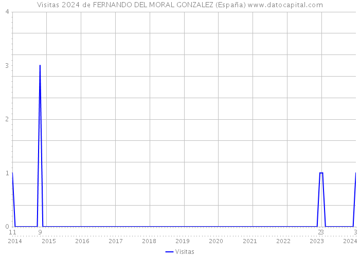 Visitas 2024 de FERNANDO DEL MORAL GONZALEZ (España) 